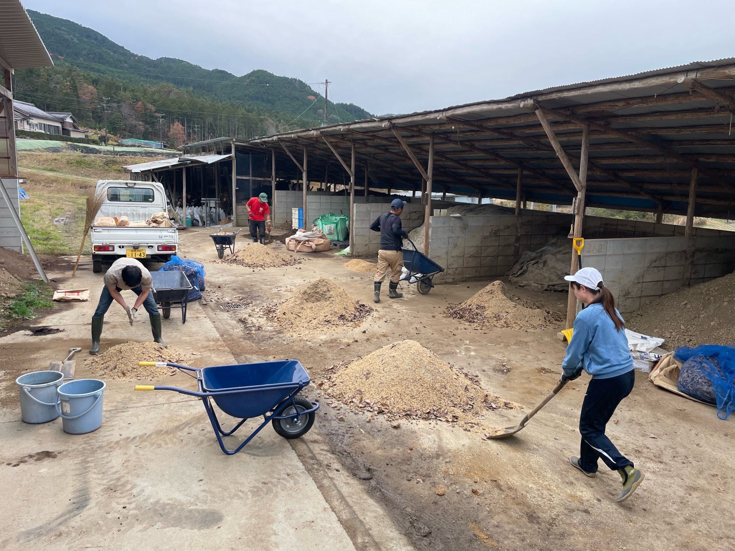 予約】 地力アップ大事典 : 有機物資源の活用で土づくり その他 